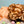 Load image into Gallery viewer, Traditional Colomba