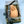 Load image into Gallery viewer, Uovo Pralinato Mandorlato