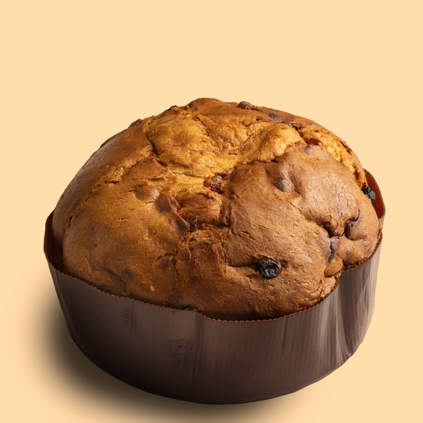 Traditional Panettone